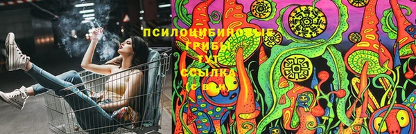 синтетический гашиш Приозерск